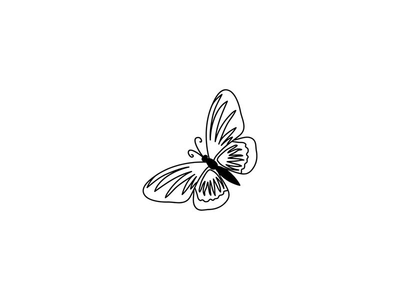 Image CV-Decorative_97.png