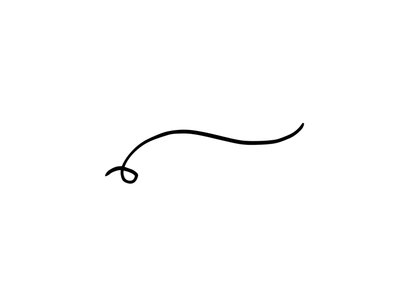 Image CV-Decorative_99.png