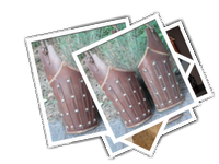 Cuisses album picture