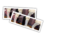 Greaves album picture