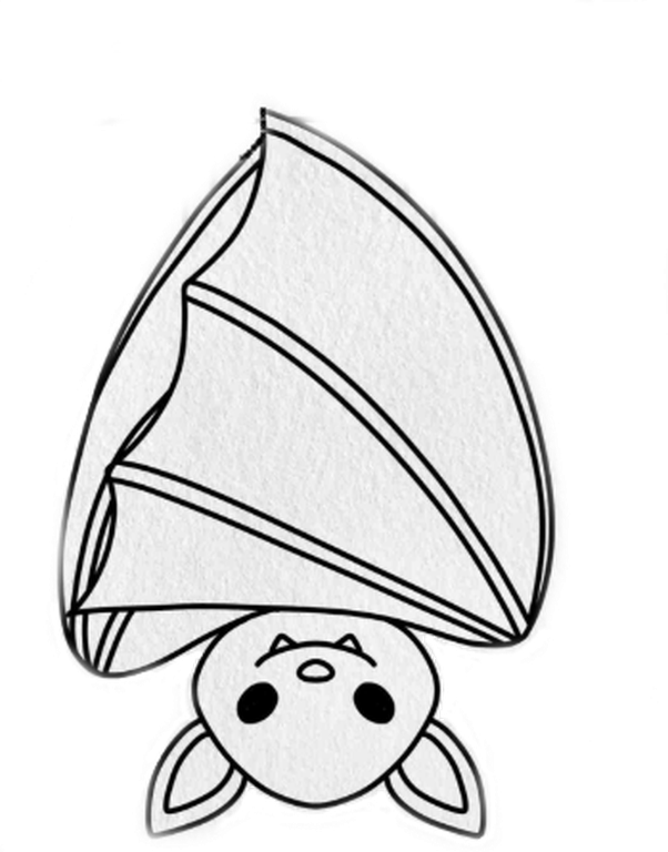 Image upside_down_bat_drawing_cleanedup.png