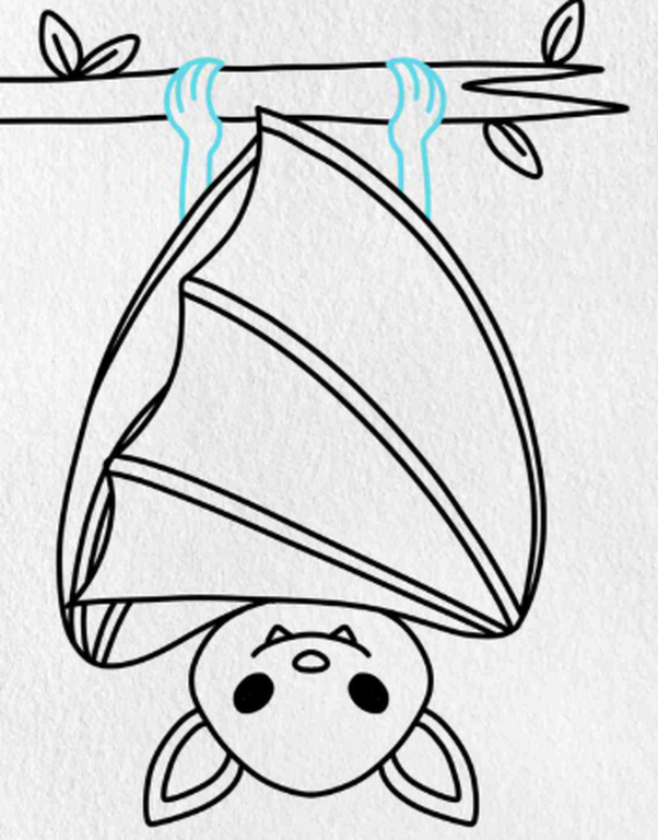 Image upside_down_bat_drawing.png