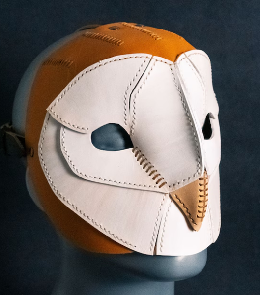 Image PD-Barn_Owl.png