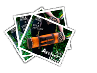 Quiver album picture