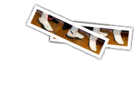 Sabaton album picture